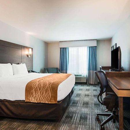 Comfort Inn & Suites East Ellijay Bagian luar foto